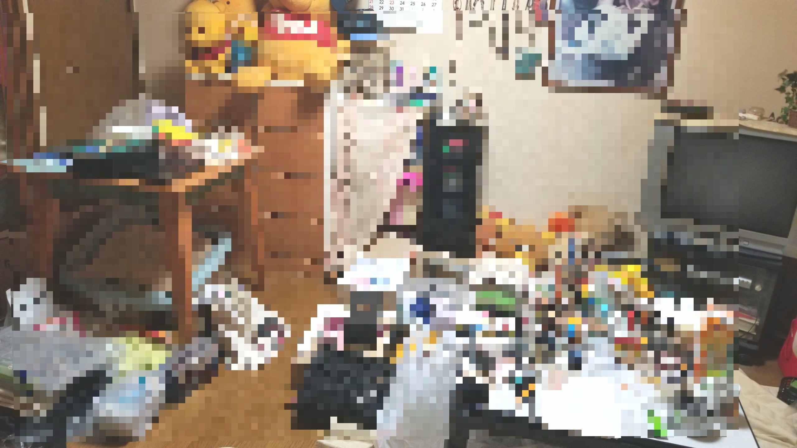汚れたぐちゃぐちゃな部屋の大掃除,一人暮らし,手伝い,叔母