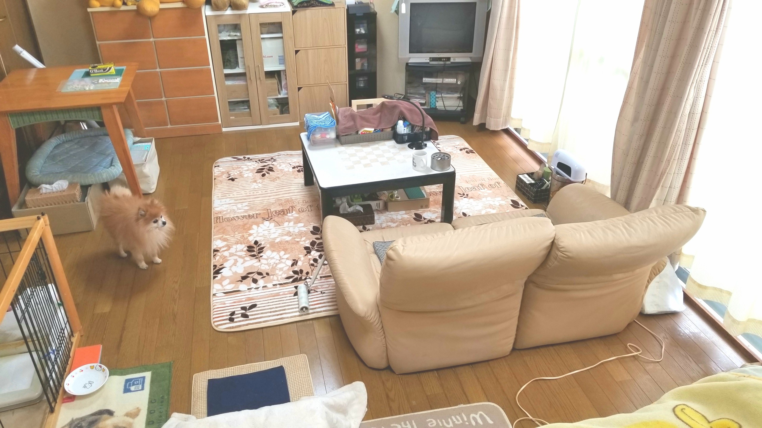 大掃除手伝う,ワンルームリメイク,綺麗ピカピカすっきりブログ