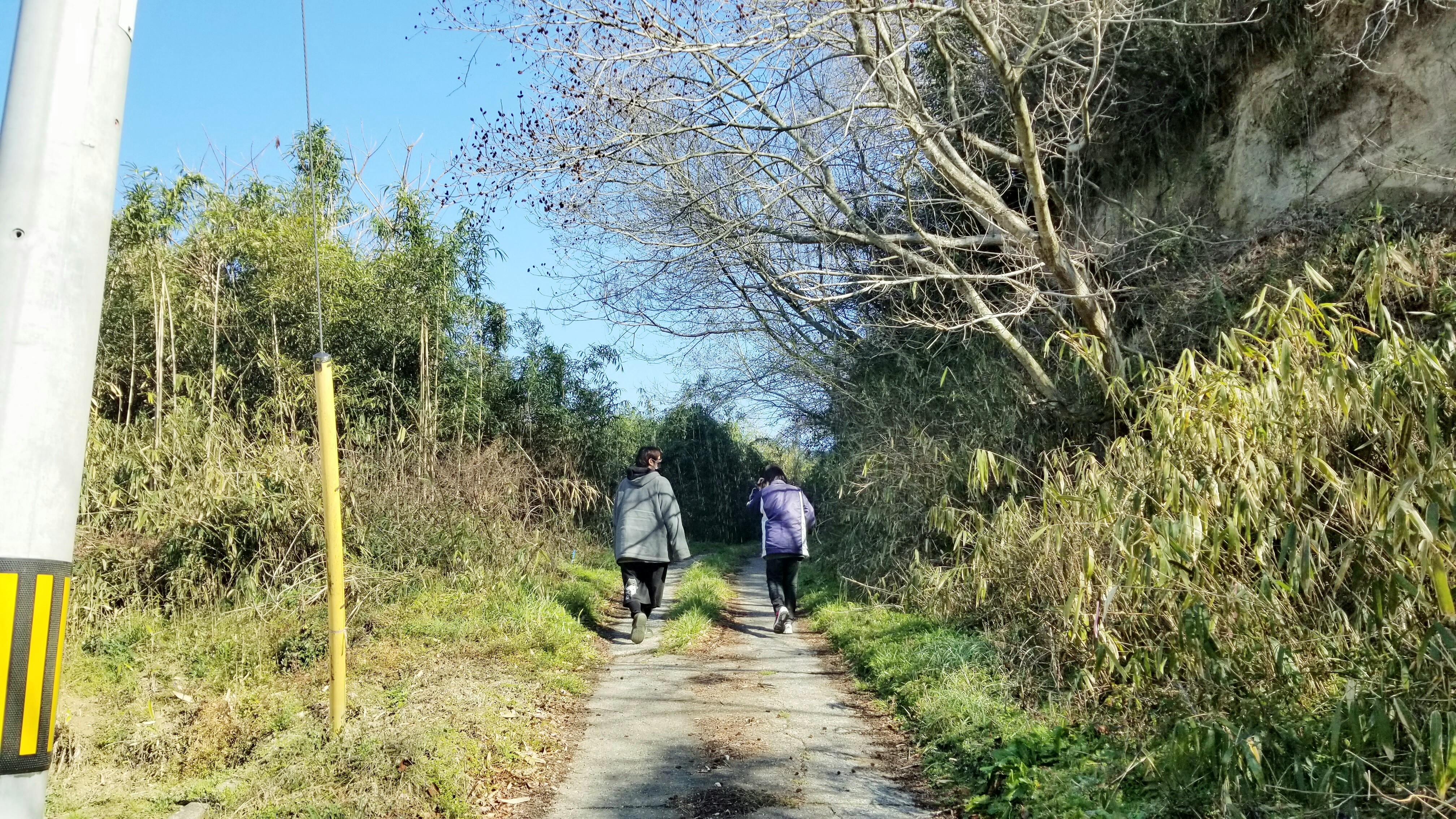 つくし山菜採り山登り遊び楽しい事1日のんびり時間季節松山市