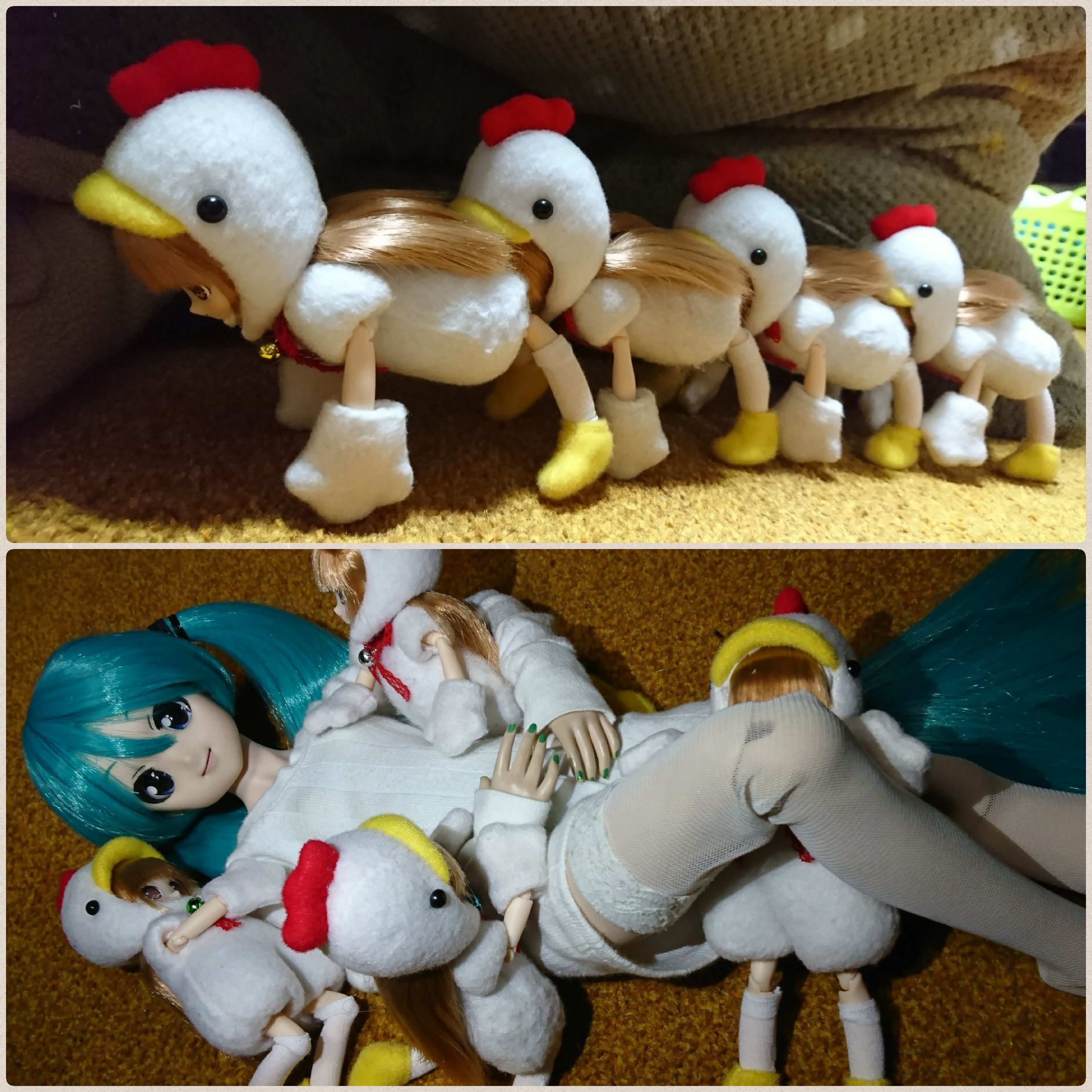 お姉さんドール遊び,初音ミク,トリちゃんたち,仲良し友達,楽しいよ