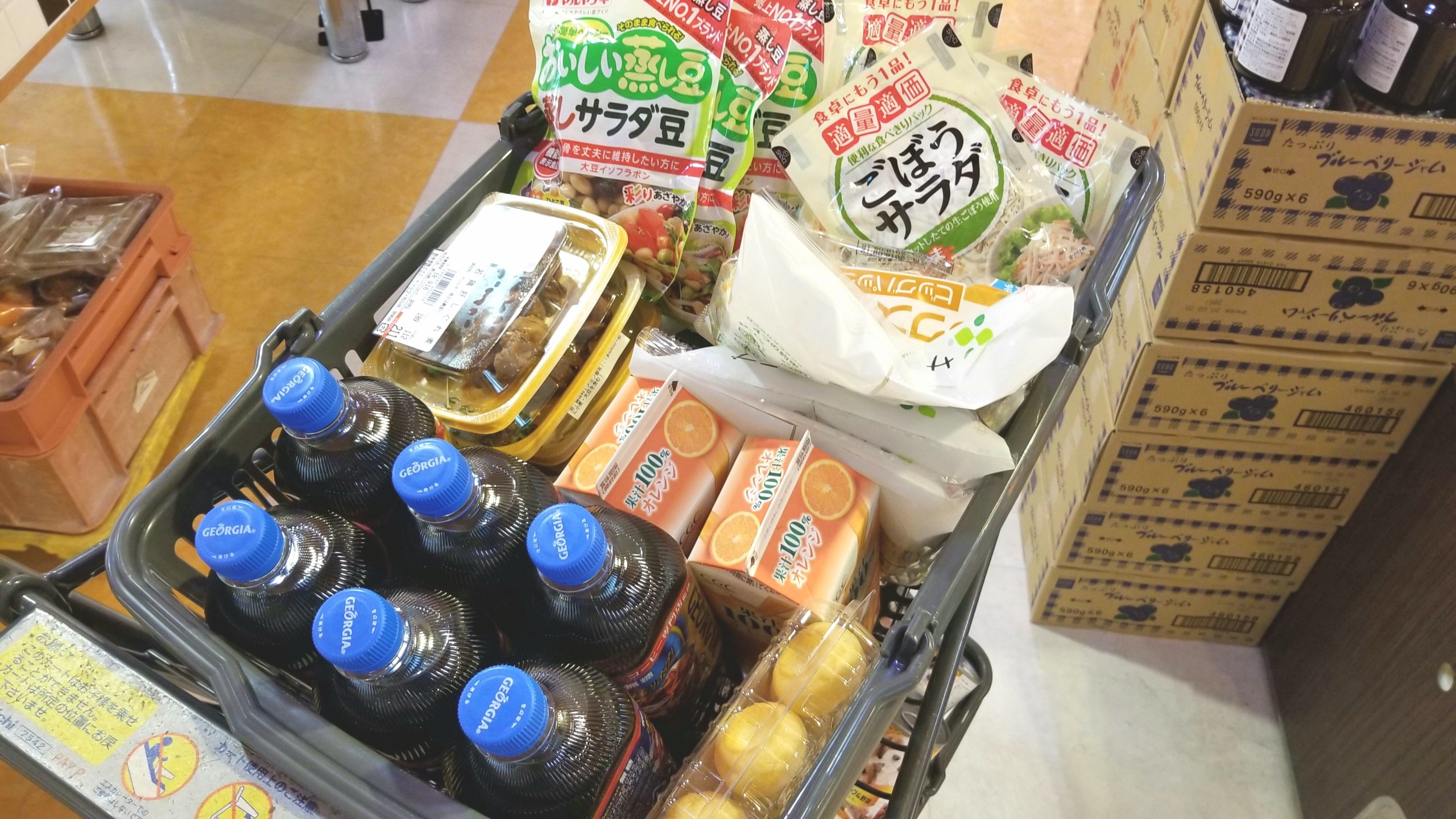 不便な買い出し,生活に支障,線維筋痛症,身体全身の痛み,原因不明激痛