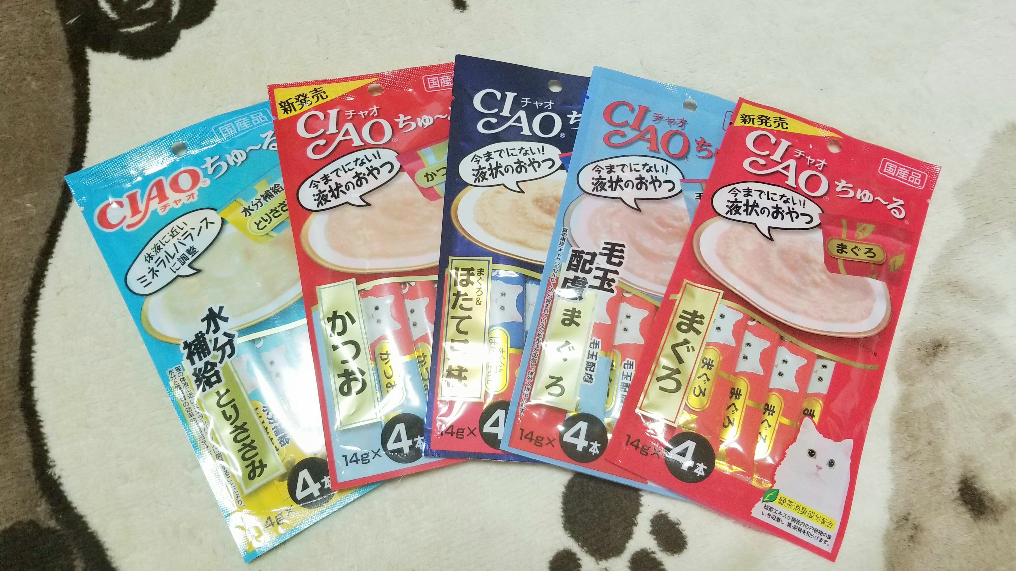 先住猫ネコご飯ちゅー保護食べ物種類捕まえたらなつかせるブログ画像