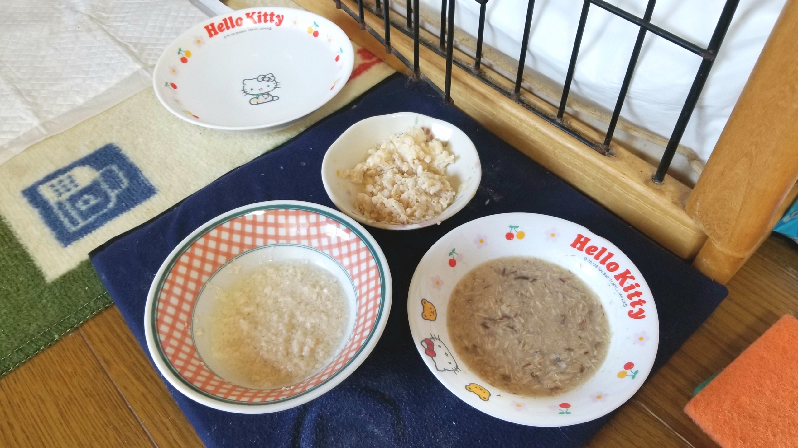 犬トイレ動かない歩けない,年齢老化白内障,15歳元気がない流動食