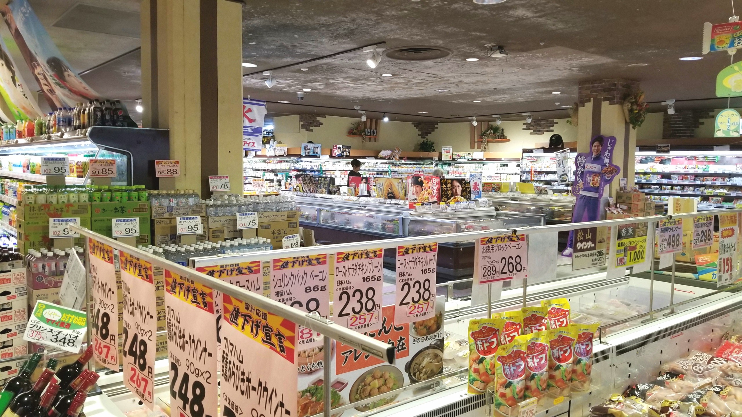 スーパーで買い物,線維筋痛症患者の私生活,独り暮らしの不便さ,痛み