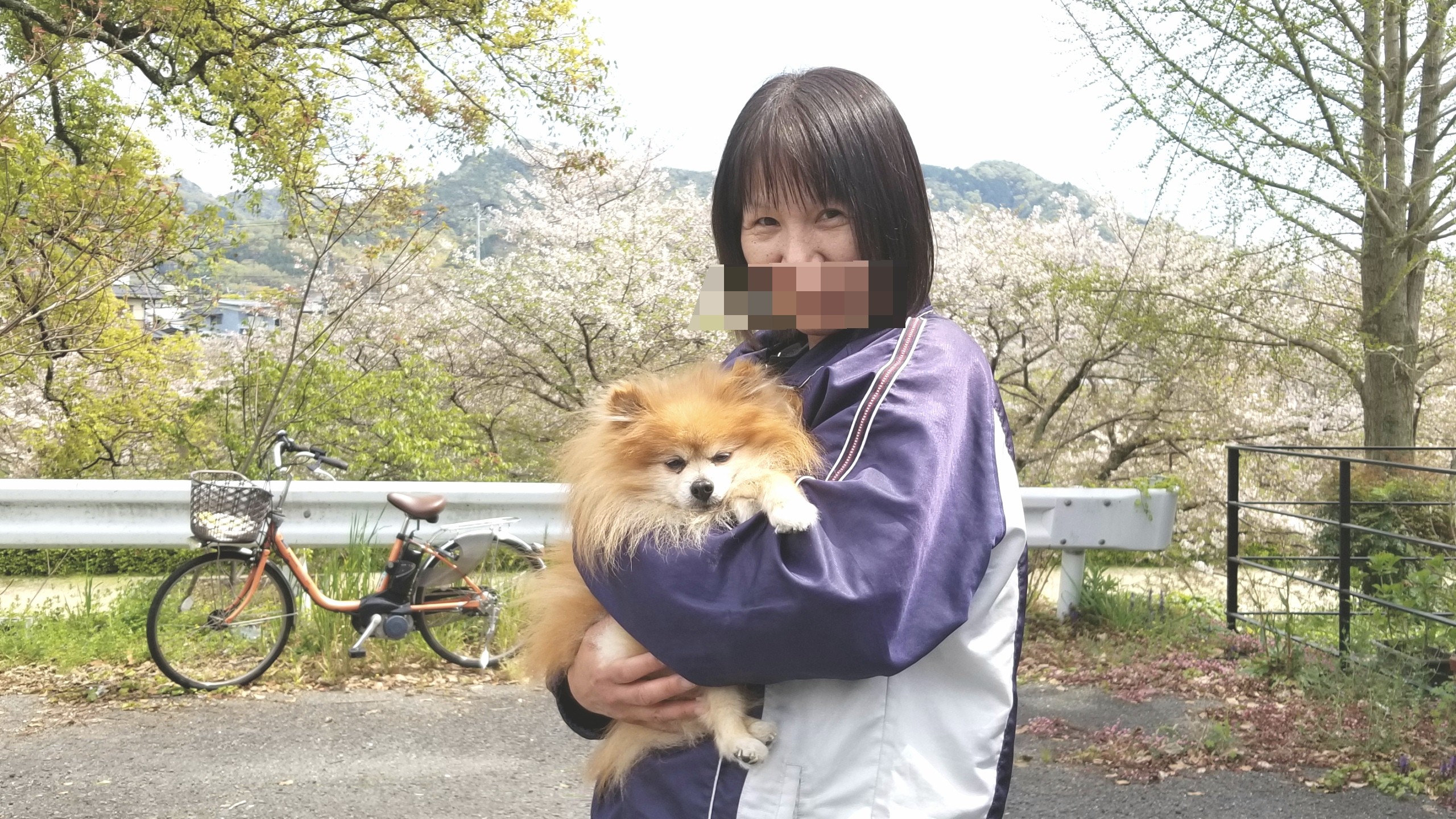 おばいとこお花見,愛犬の散歩お出かけ,ペットの病気老衰,楽しかった