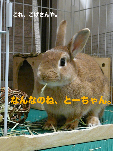 P1080959のコピー