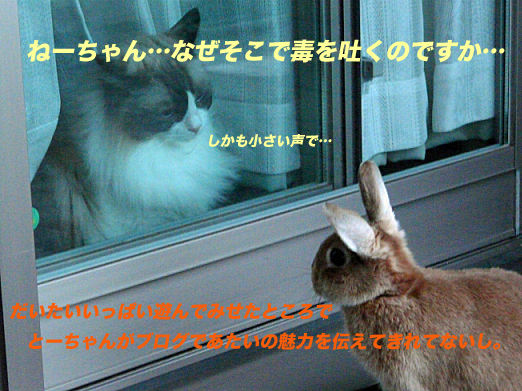 P1160191のコピー