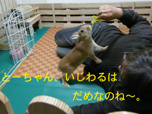 P1070740のコピー