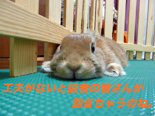 P1110494のコピー