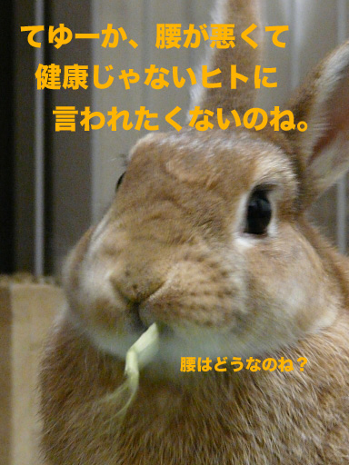 P1080961のコピー