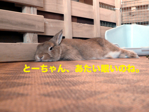 P1060925のコピー