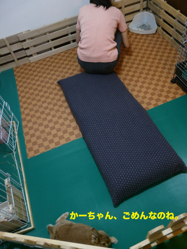 P1060695のコピー