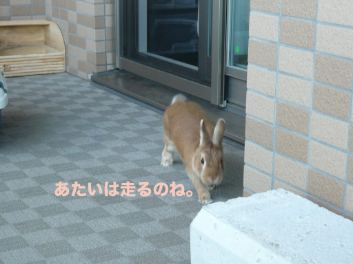 P1060237のコピー