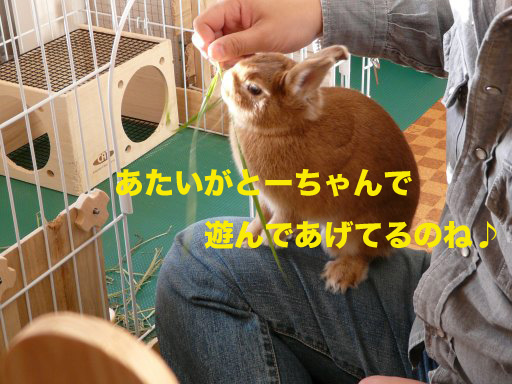 P1080282のコピー
