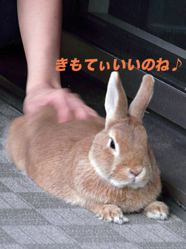 P1120114のコピー