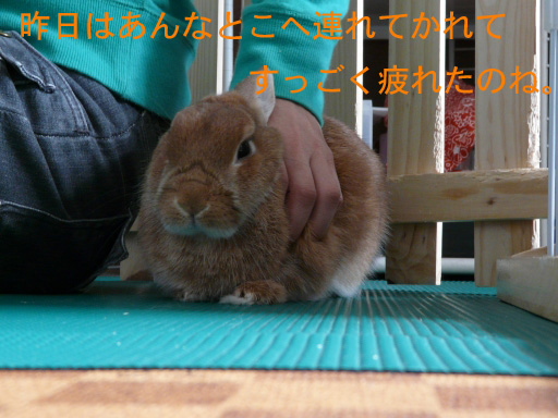 P1070766のコピー