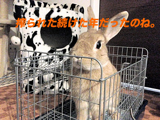 12のコピー
