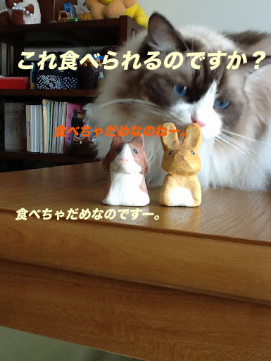 06のコピー