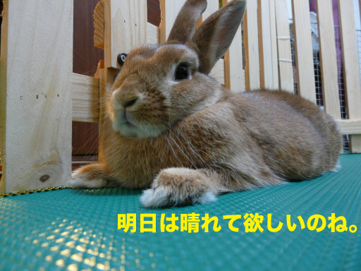 P1060692のコピー