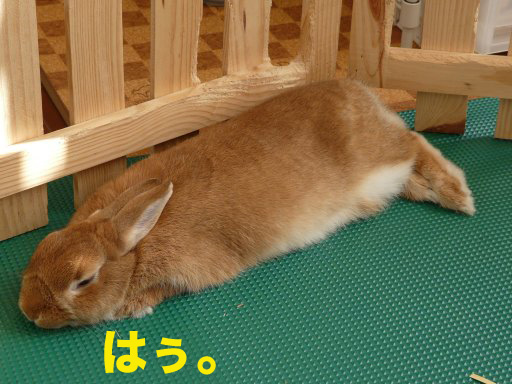 P1080307のコピー