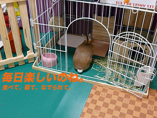 P1120746のコピー