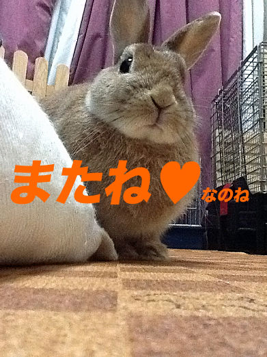 09のコピー