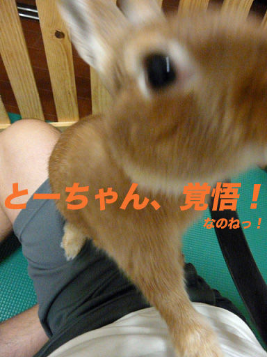 P1110874のコピー