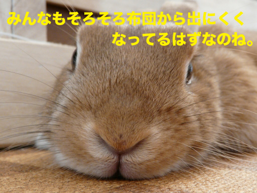 P1060924のコピー