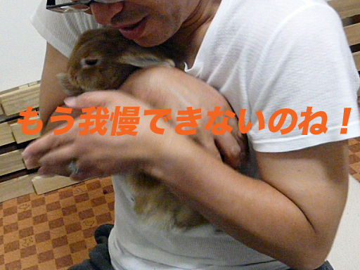 P1120204のコピー