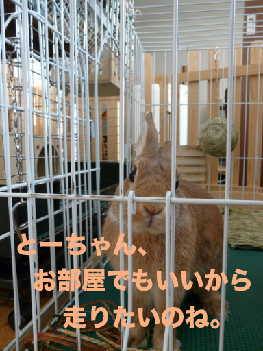 P1090396のコピー