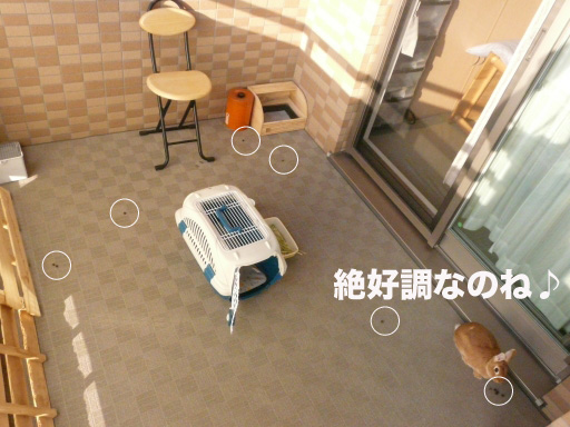 P1050026のコピー