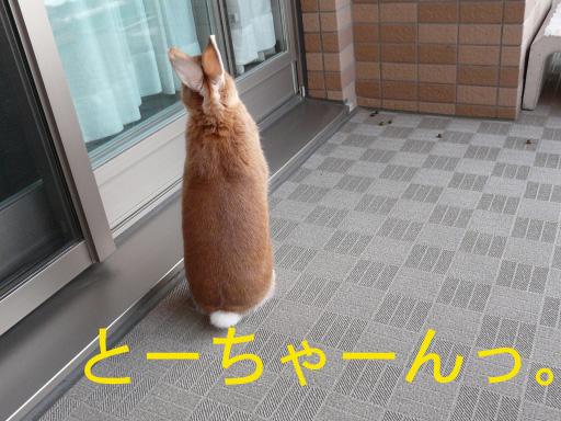 P1070791のコピー