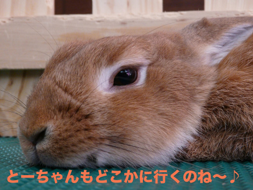 P1060077のコピー