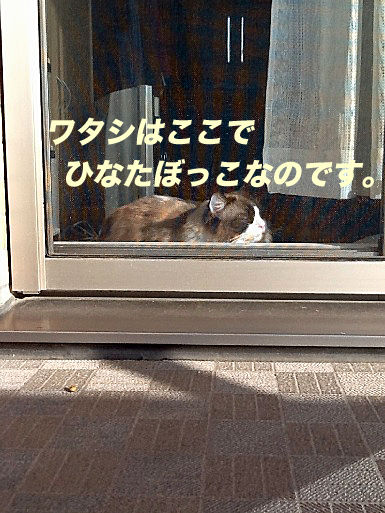 IMG_7696のコピー