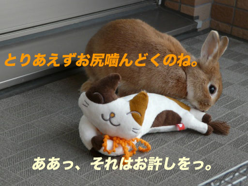 P1140754のコピ