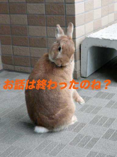 P1100275のコピー