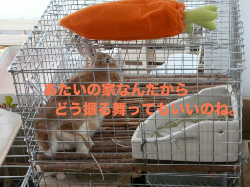 P1060070のコピー
