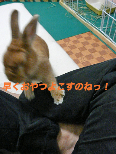 P1110230のコピー