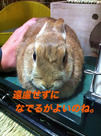 IMG_3475のコピー