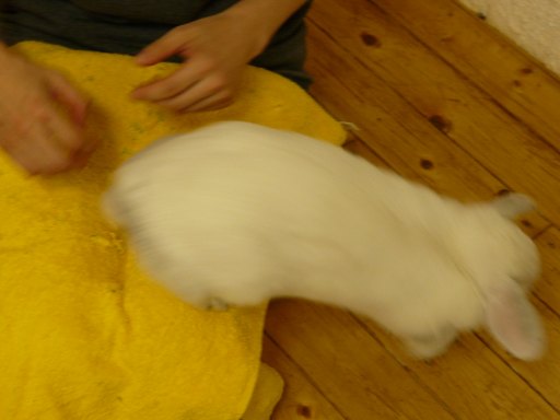 P1080243