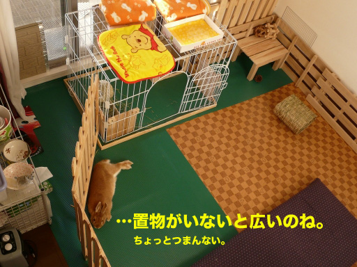 P1080154のコピー