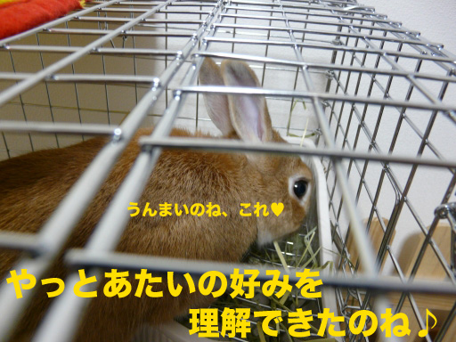 P1080605のコピー
