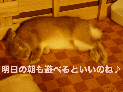 P1060254のコピー