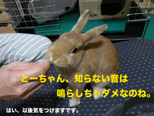 P1060961のコピー