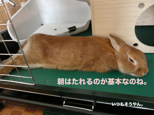 P1050795のコピー