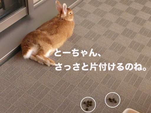 P1050027のコピー