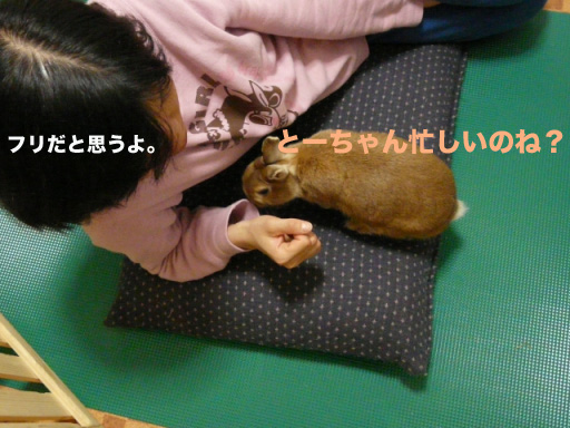 P1090380のコピー