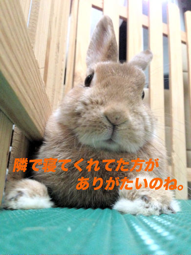 05のコピー
