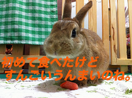 IMG_3491のコピー