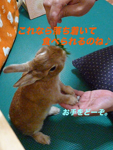 P1130202のコピー